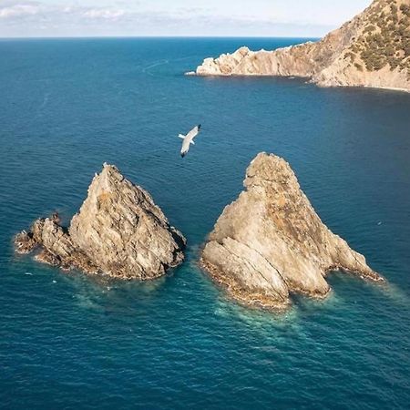 Appartement Pied Dans L'Eau La Seyne-sur-Mer Εξωτερικό φωτογραφία