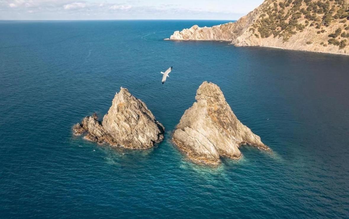 Appartement Pied Dans L'Eau La Seyne-sur-Mer Εξωτερικό φωτογραφία