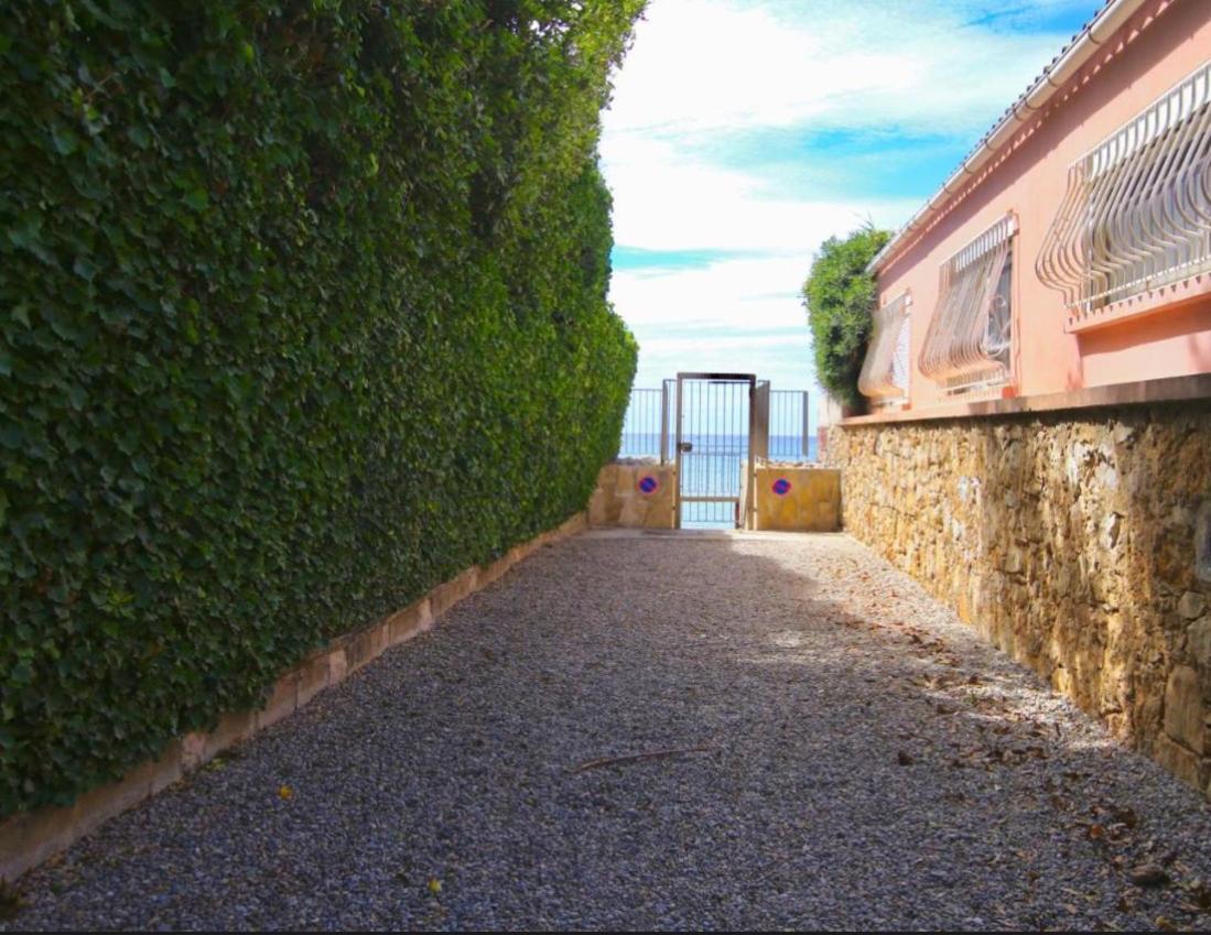 Appartement Pied Dans L'Eau La Seyne-sur-Mer Εξωτερικό φωτογραφία